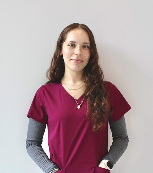 SimplySmiles | Inlays  amp  Onlays, CEREC and ZOOM  Whitening